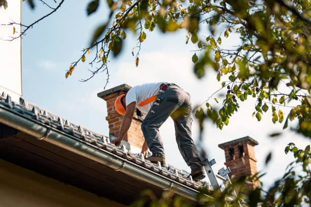 Quick and Trustworthy Emergency Roof Repair Services in Dimondale, MI