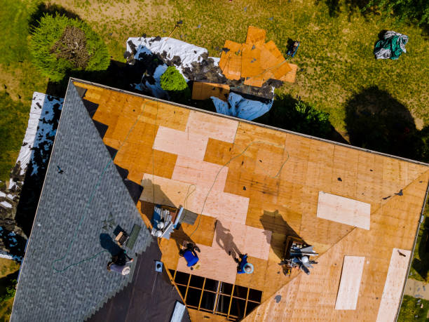 Best Residential Roofing Contractor  in Dimondale, MI