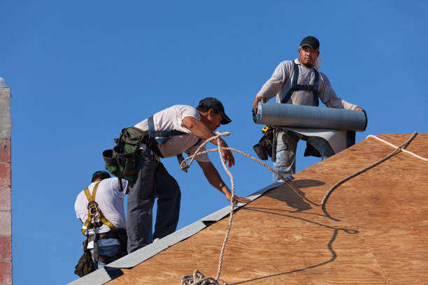 Best Roof Waterproofing Services  in Dimondale, MI