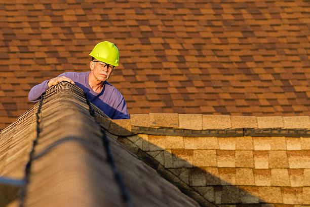 Best Roof Replacement Cost  in Dimondale, MI