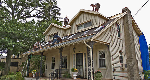 Best Commercial Roofing Services  in Dimondale, MI