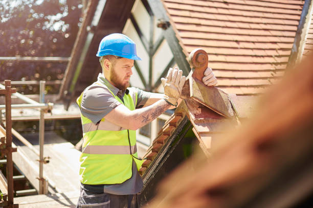 Best Flat Roof Repair Services  in Dimondale, MI