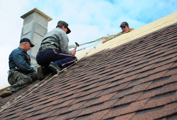 Best Tile Roofing Contractor  in Dimondale, MI