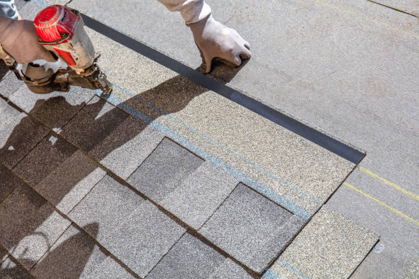 Best Roof Leak Repair  in Dimondale, MI