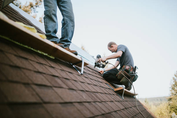 Best Roof Gutter Cleaning  in Dimondale, MI